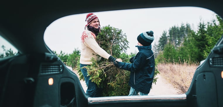 nim - 12 days of nimbl tasks-1