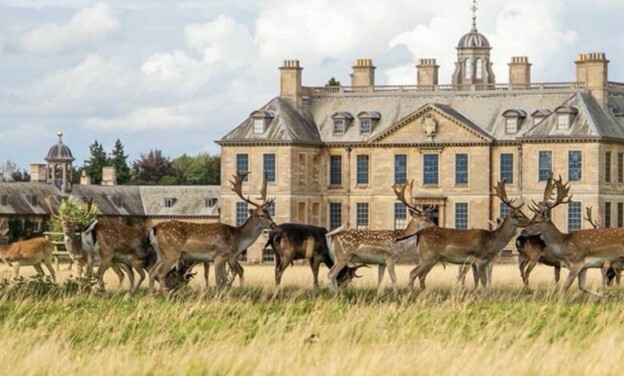 KidstartNationalTrust